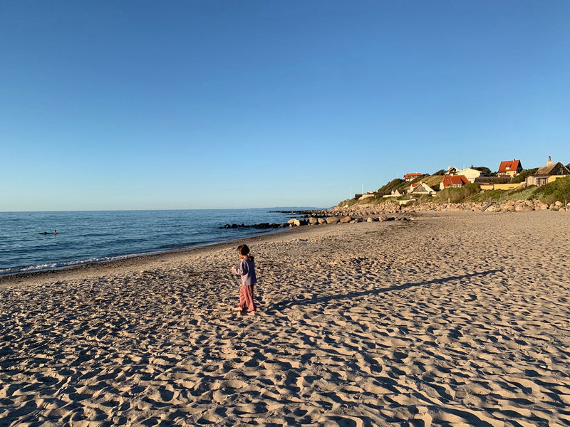 The case for Denmark's beaches