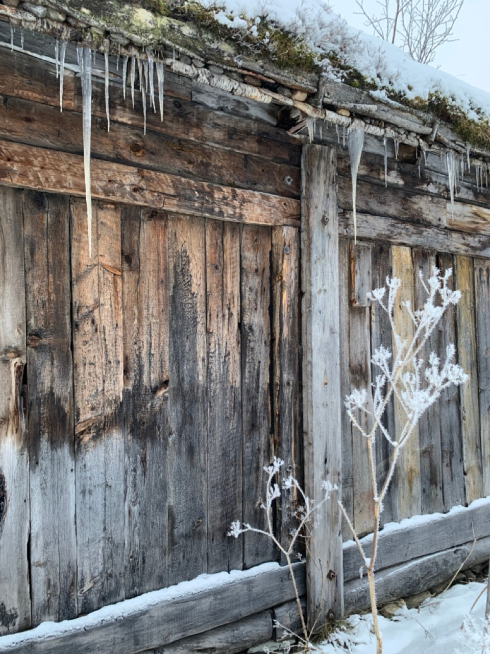 A winter arctic adventure in Norway