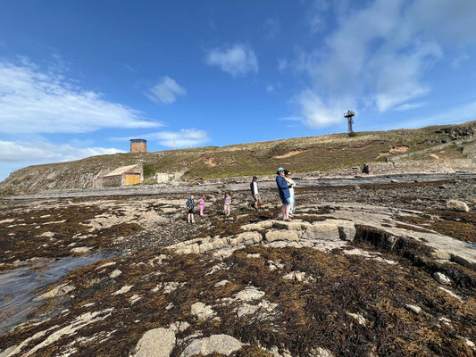 Beaches and wild beauty in Northumberland
