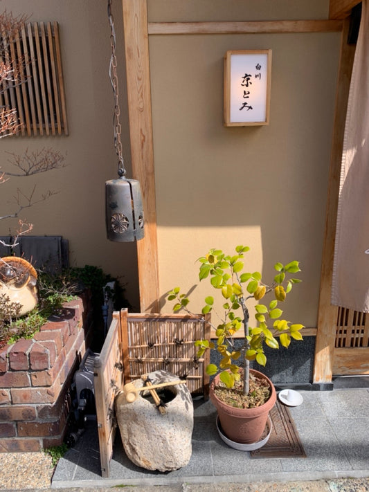 Moss gardens, craft and markets in Kyoto