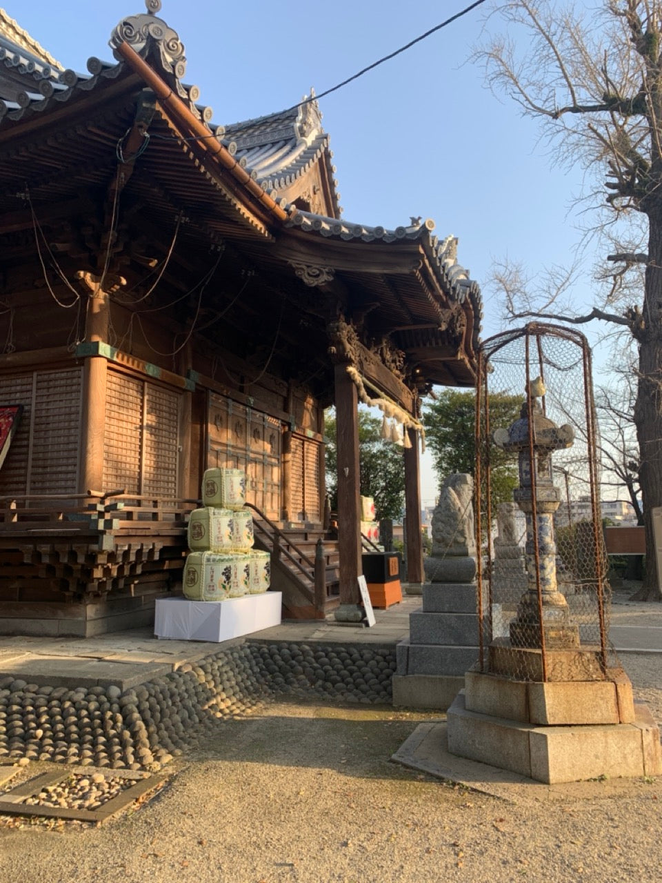 Lush, scenic, untrodden Japan